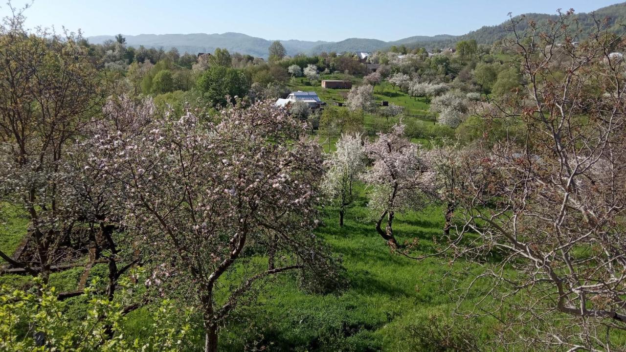 Bat'Kivska Hata Stari Kuty 外观 照片