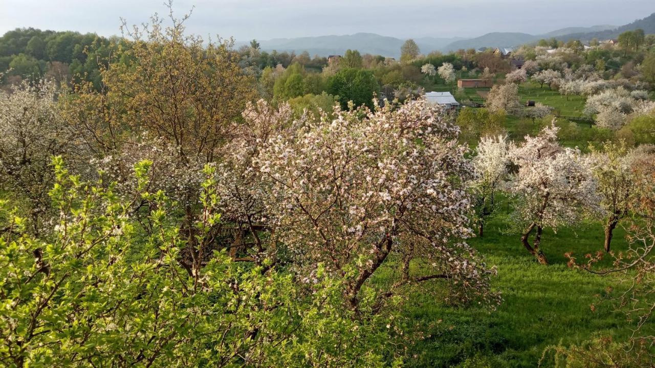 Bat'Kivska Hata Stari Kuty 外观 照片