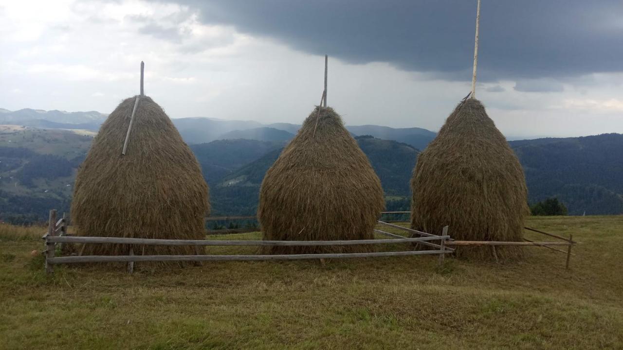 Bat'Kivska Hata Stari Kuty 外观 照片