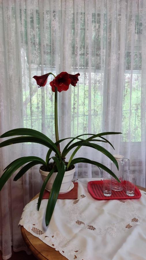 Bat'Kivska Hata Stari Kuty 外观 照片